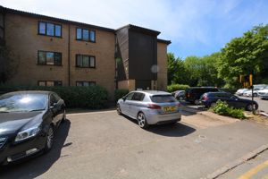 Photo 3- click for photo gallery